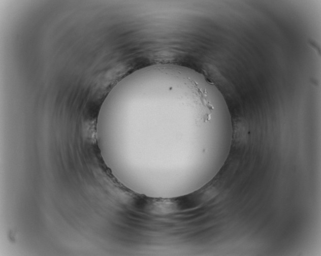 X0000103270383200809122141