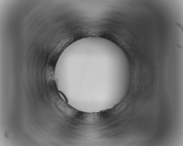 X0000103270384200809122141