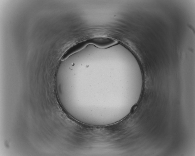 X0000103270385200809122140