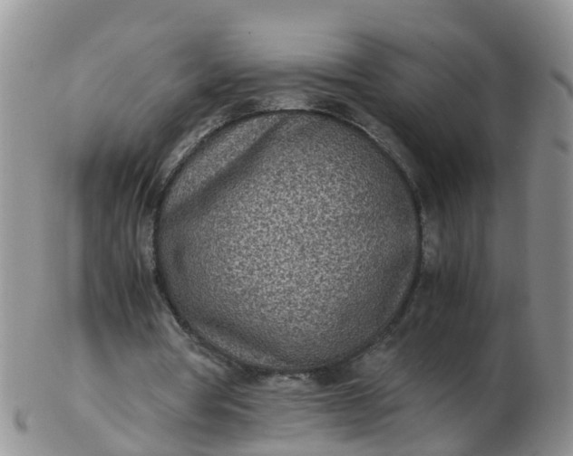 X0000103270386200809122140
