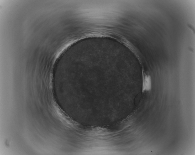 X0000103270387200809122140