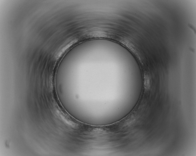 X0000103270390200809122140