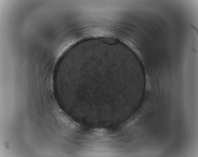 X0000103270391200809122140