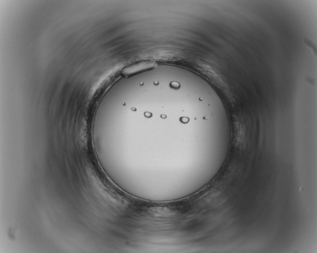 X0000103270392200809122140