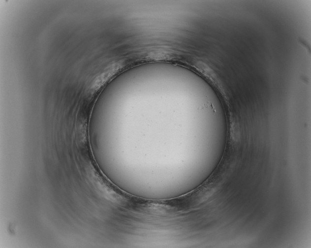 X0000103270393200809122140