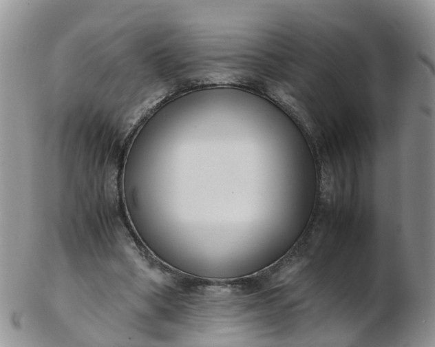 X0000103270394200809122140