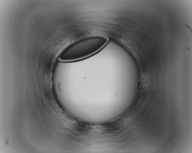 X0000103270395200809122140