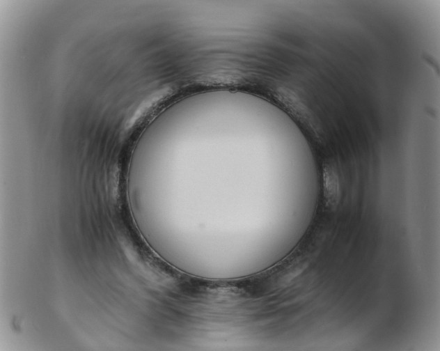 X0000103270396200809122140