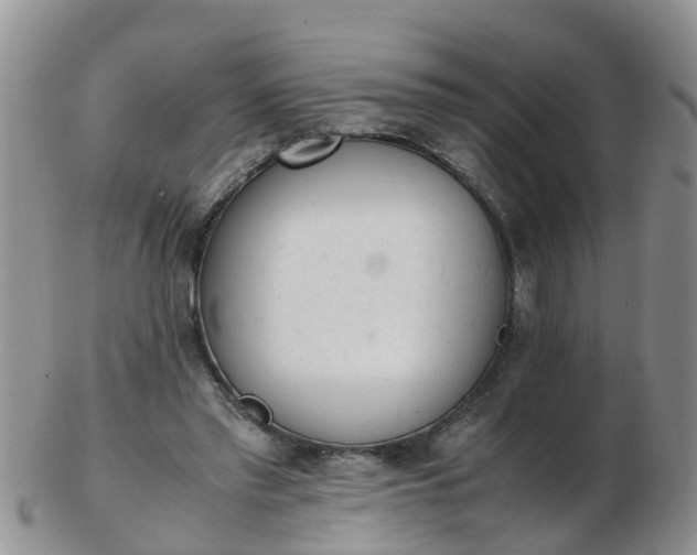 X0000103270397200809122140