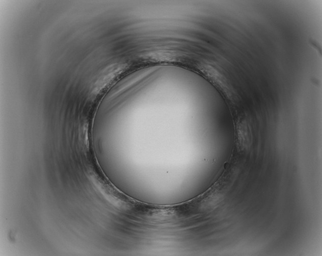 X0000103270398200809122140