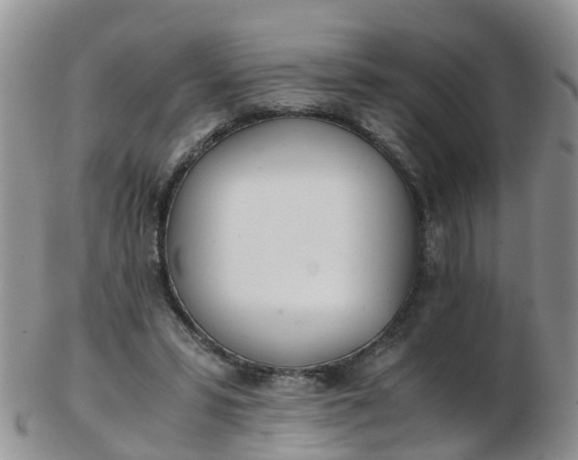 X0000103270399200809122140