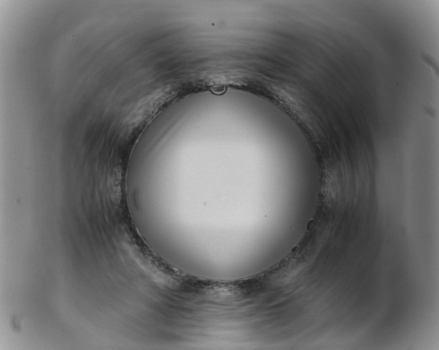 X0000103270402200809122140