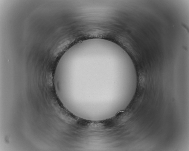 X0000103270403200809122140
