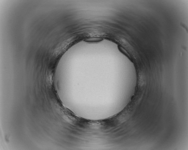 X0000103270405200809122140