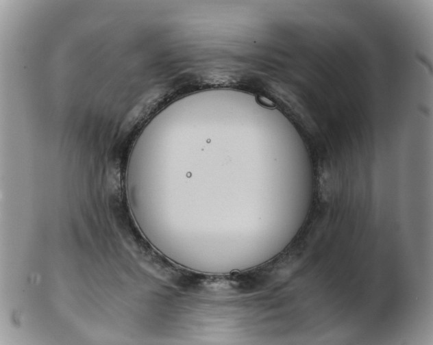 X0000103270407200809122140