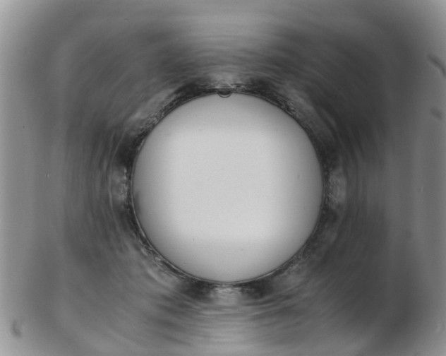 X0000103270413200809122140