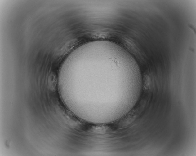 X0000103270414200809122140