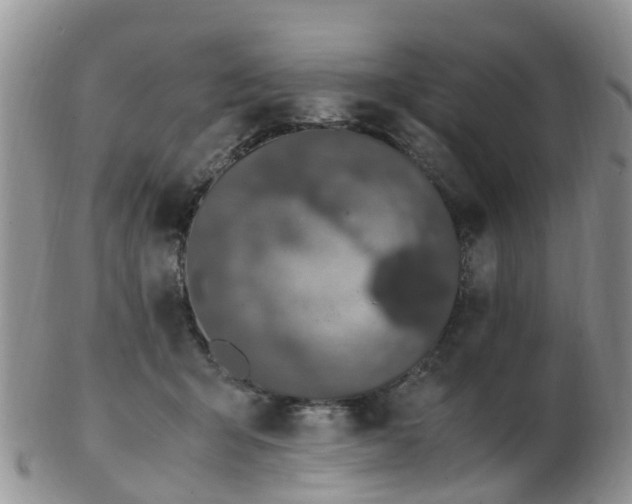 X0000103270415200809122140