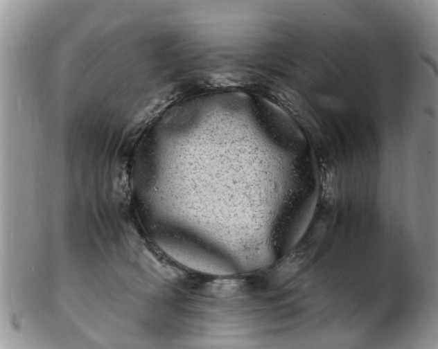 X0000103270418200809122140