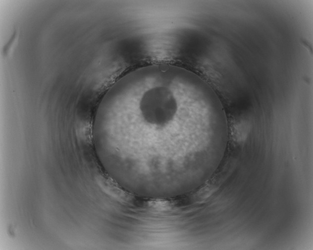 X0000103270419200809122140