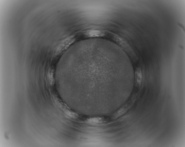 X0000103270422200809122140
