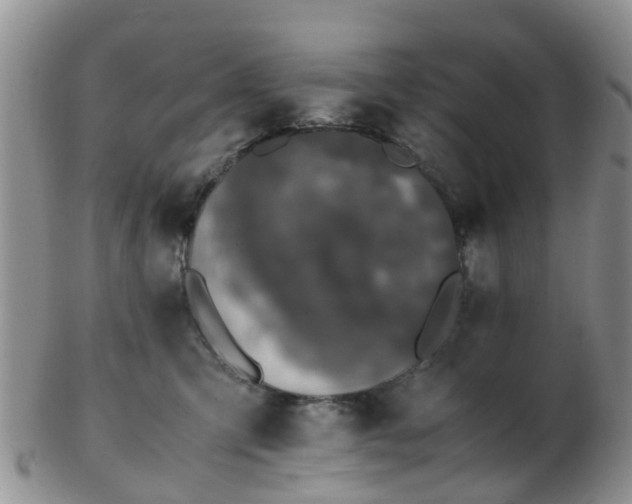 X0000103270423200809122140