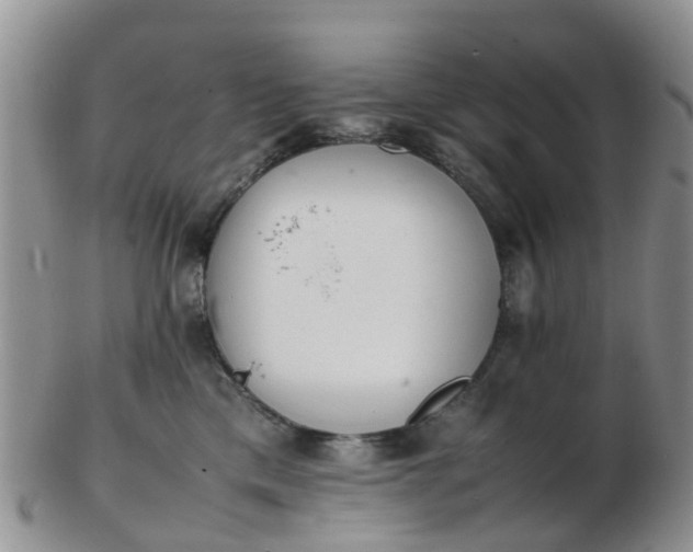 X0000103270425200809122140