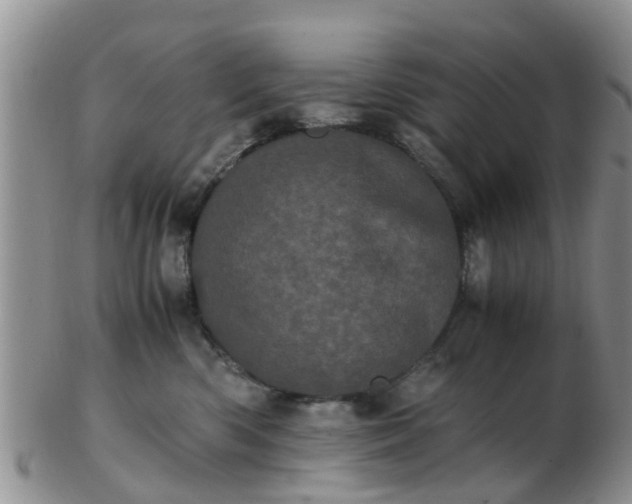 X0000103270426200809122140
