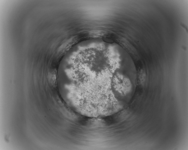 X0000103270427200809122140