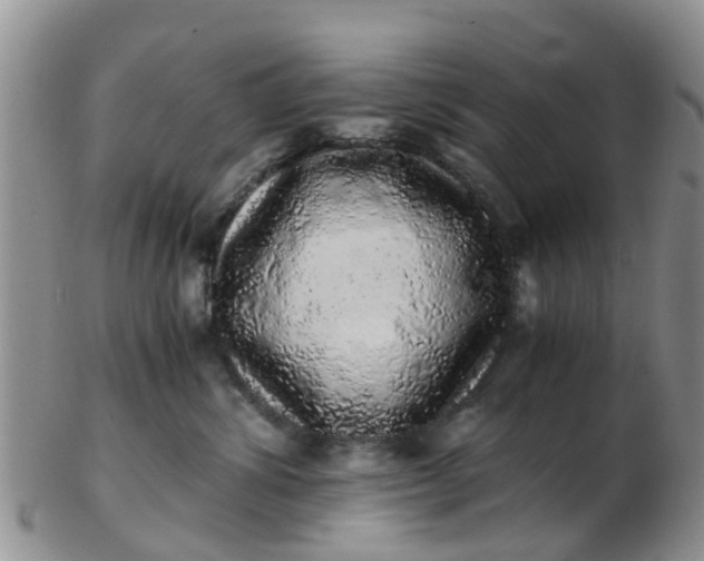 X0000103270428200809122140