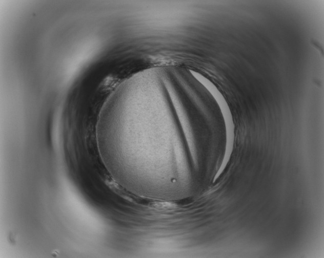 X0000103270429200809122140