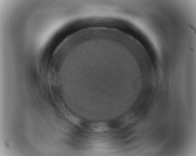 X0000103270431200809122140