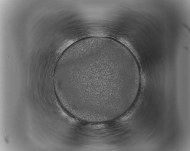 X0000103270433200809122139