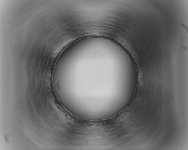 X0000103270434200809122139