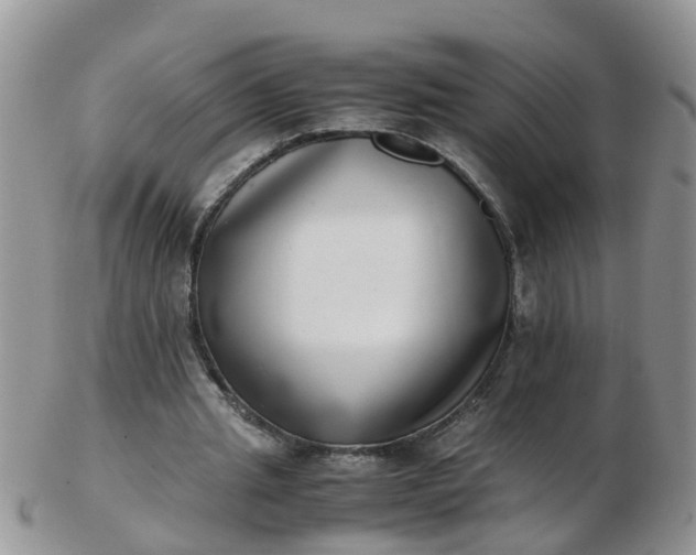 X0000103270437200809122139
