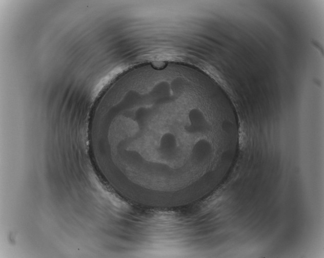 X0000103270438200809122139