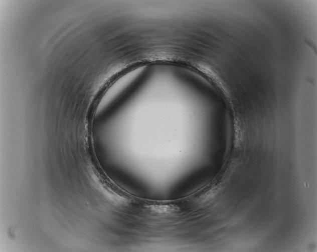 X0000103270439200809122139