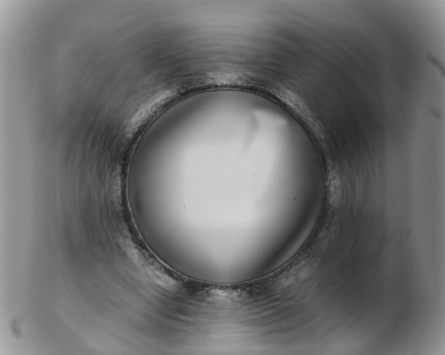 X0000103270442200809122139