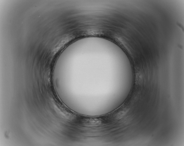 X0000103270443200809122139
