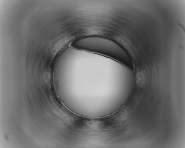 X0000103270444200809122139