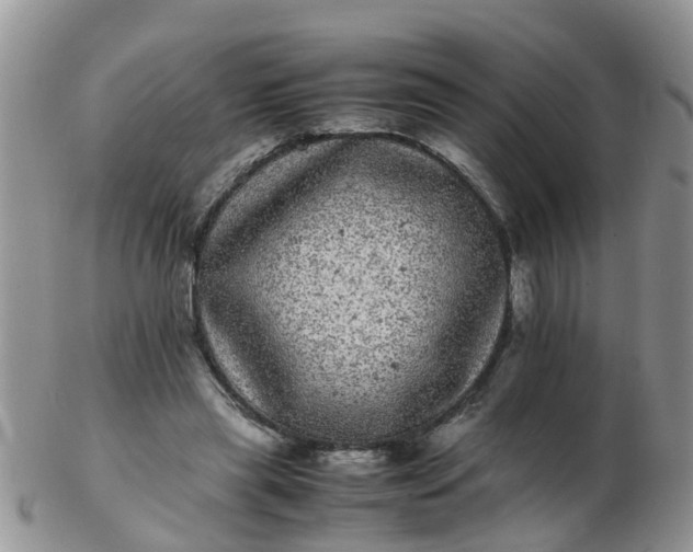 X0000103270445200809122139
