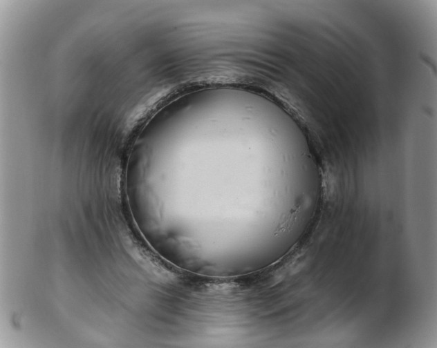 X0000103270446200809122139
