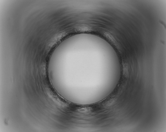 X0000103270447200809122139