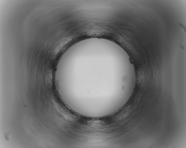X0000103270448200809122139
