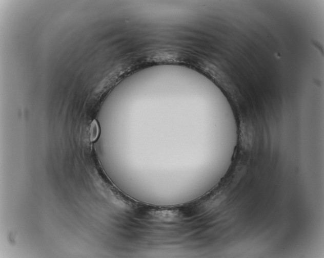 X0000103270449200809122139