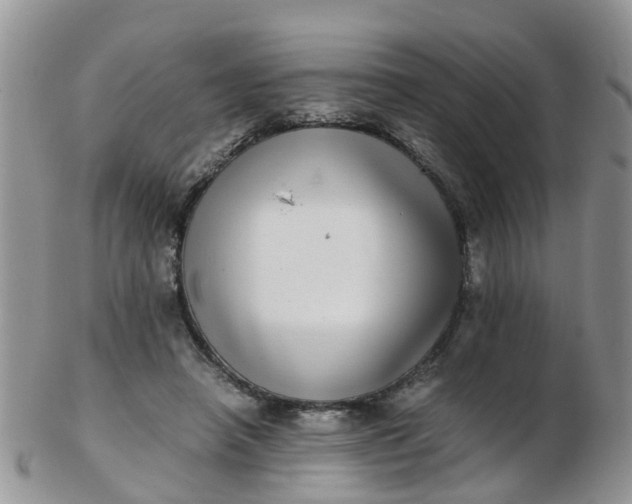 X0000103270450200809122139