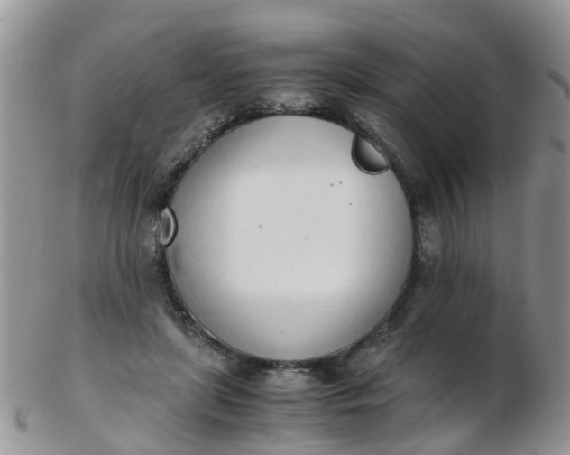 X0000103270451200809122139