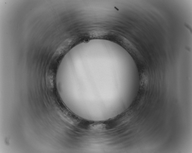 X0000103270452200809122139