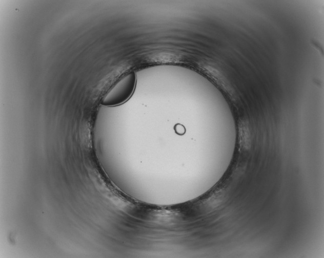X0000103270453200809122139