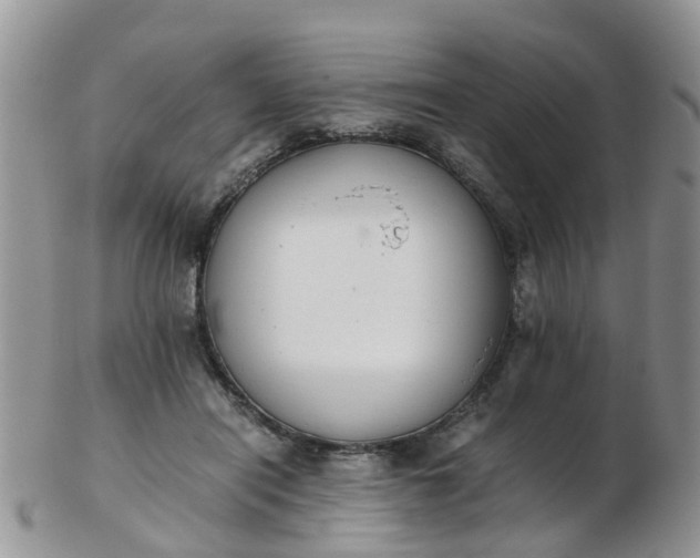X0000103270454200809122139